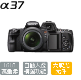 SLT-A37|A37|Sony SLT|數位單眼相機|單眼相機|單眼|Sony 數位相機|Sony 相機|數位相機|相機|A mount
