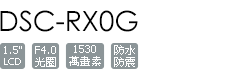 DSC-RX0G