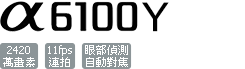 ILCE-6100Y