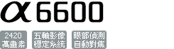 ILCE-6600