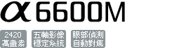 ILCE-6600M