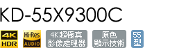 KD-55X9300C