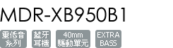 MDR-XB950B1/R