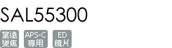 SAL55300