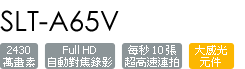 SLT-A65V