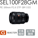 SEL100F28GM