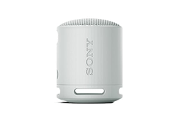 Sony SRS-XB100