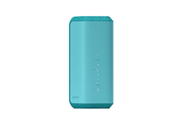 Sony SRS-XE300