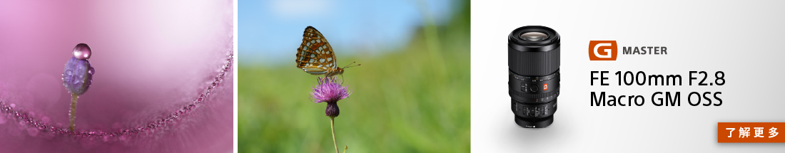 SEL100M28GM 新品上市