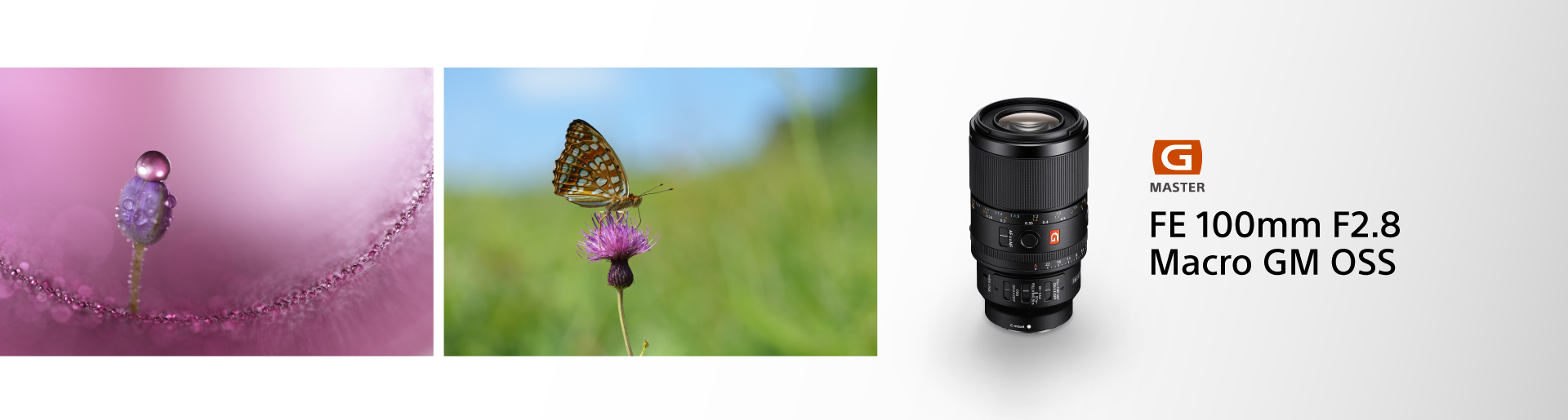 SEL100M28GM 新品上市