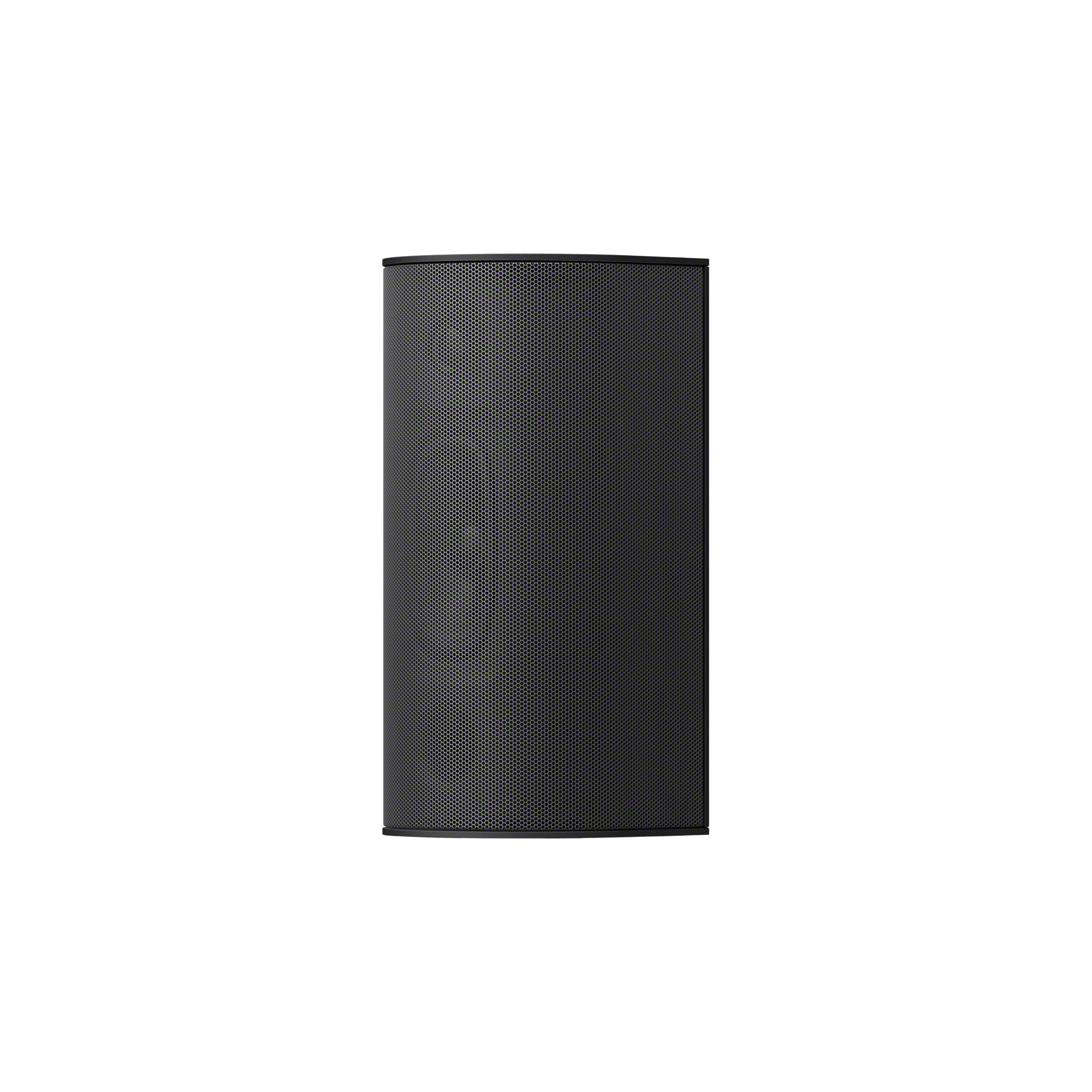 BRAVIA Theatre System 6 的單件式後置揚聲器。