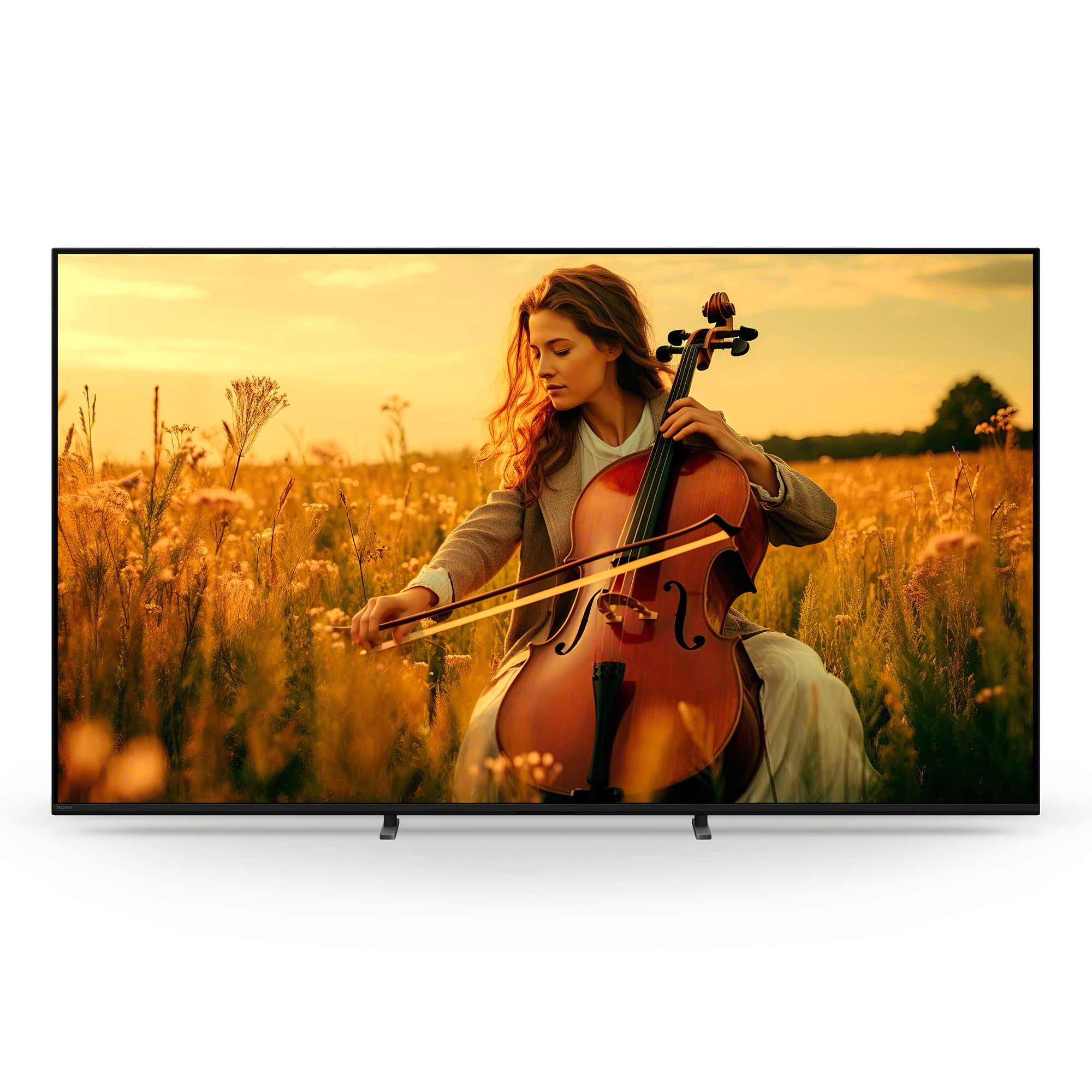 BRAVIA 5 前視圖