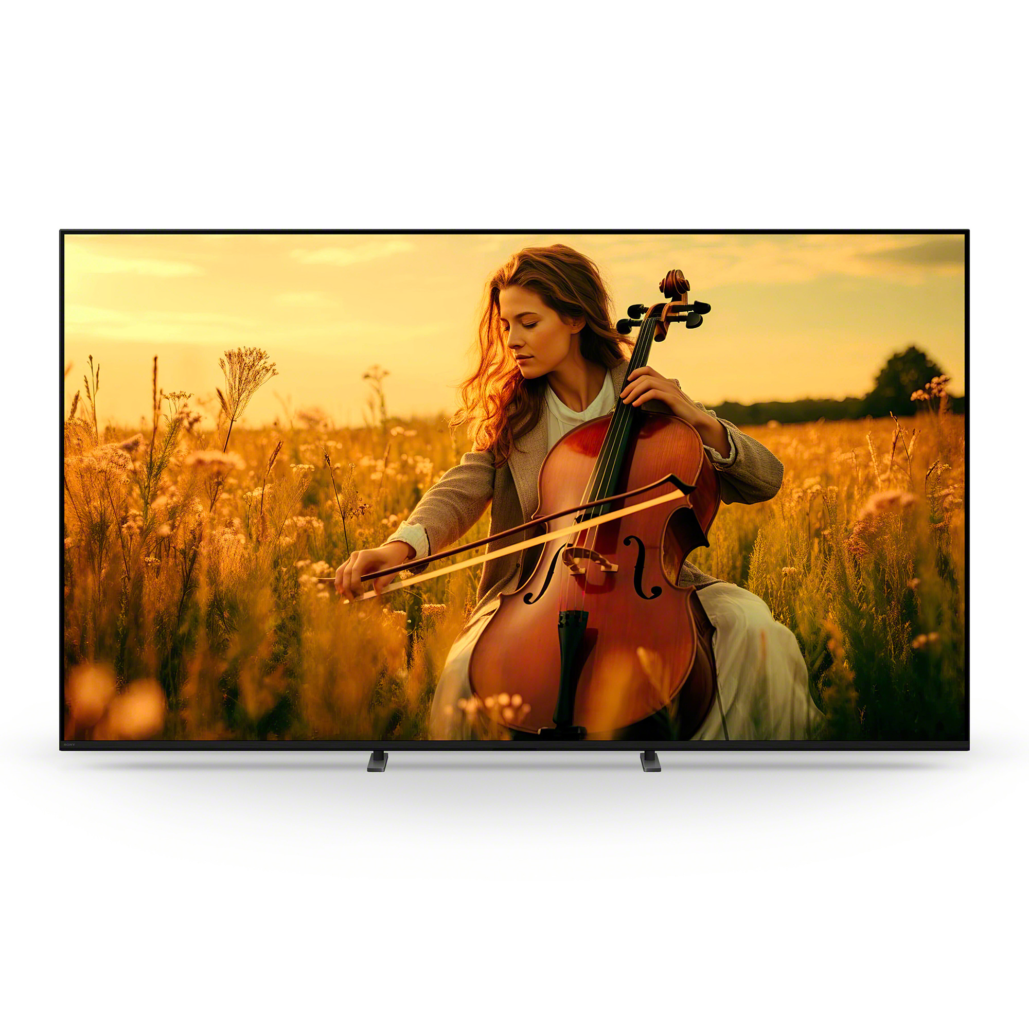 BRAVIA 5 前視圖