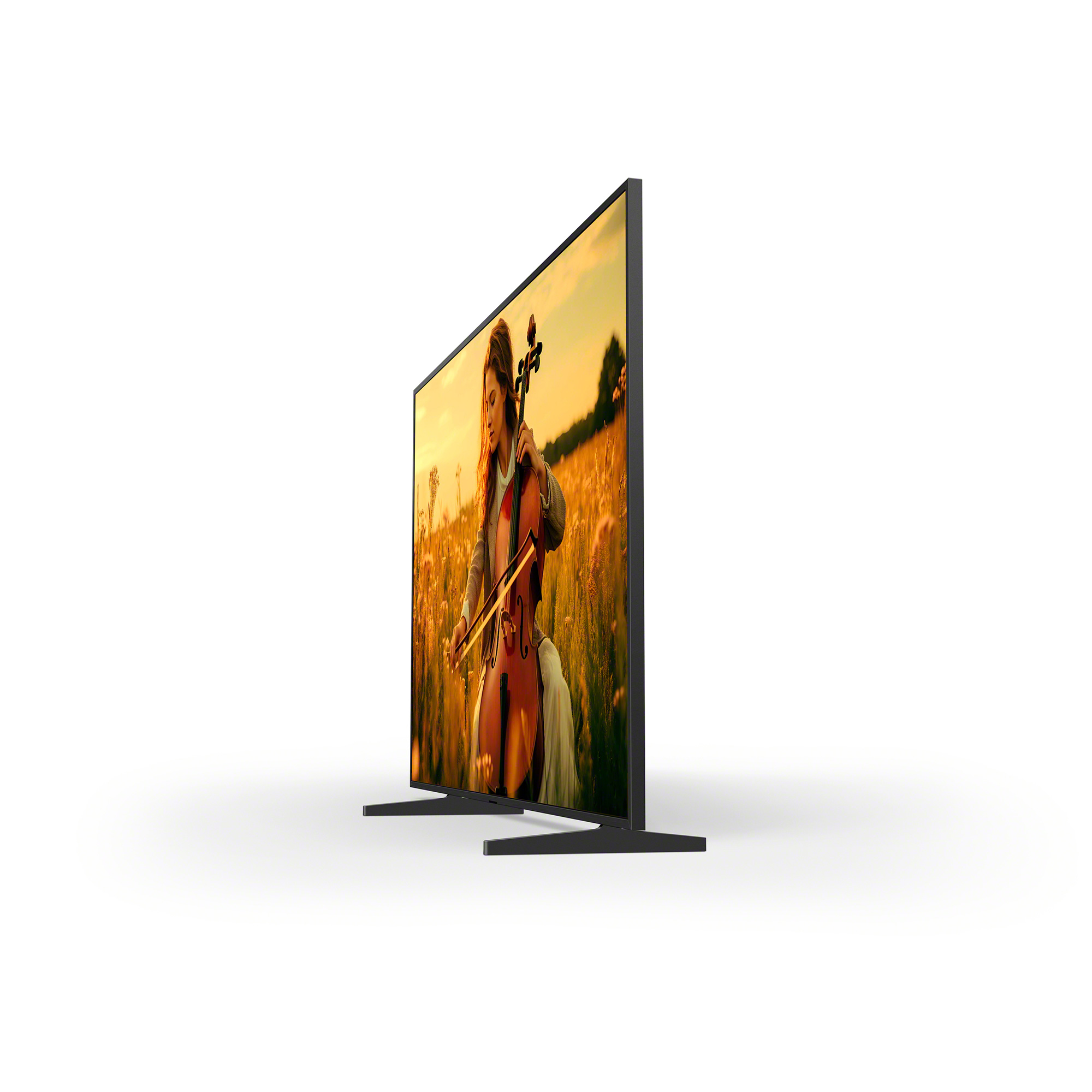 BRAVIA 5 斜角視圖