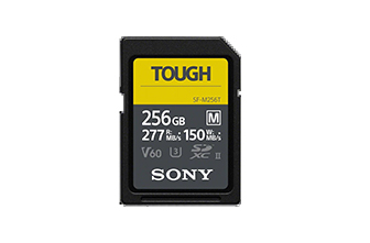 【買 α6600 即贈 256GB TOUGH 記憶卡】