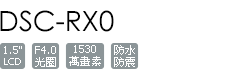 DSC-RX0