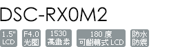 DSC-RX0M2
