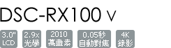 DSC-RX100M5