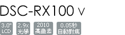 DSC-RX100M5A