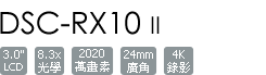 DSC-RX10M2