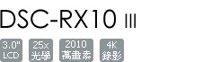 DSC-RX10M3