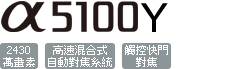 ILCE-5100Y/W
