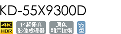 KD-55X9300D