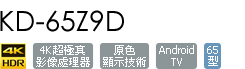 KD-65Z9D