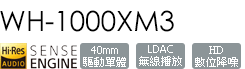 WH-1000XM3/S