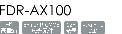 FDR-AX100