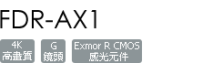 FDR-AX1