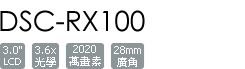 DSC-RX100