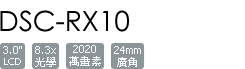 DSC-RX10