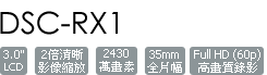 DSC-RX1