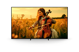 機型：Y-55XR50 4K 智慧顯示器 (Google TV)